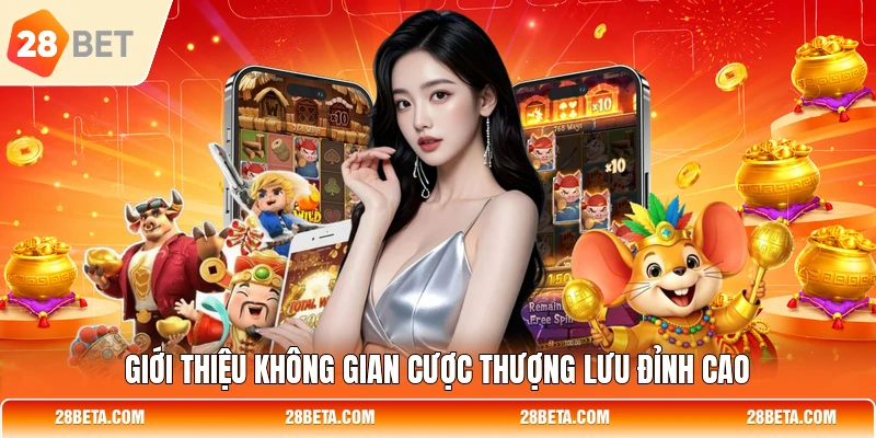 Giới thiệu không gian cược thượng lưu đỉnh cao
