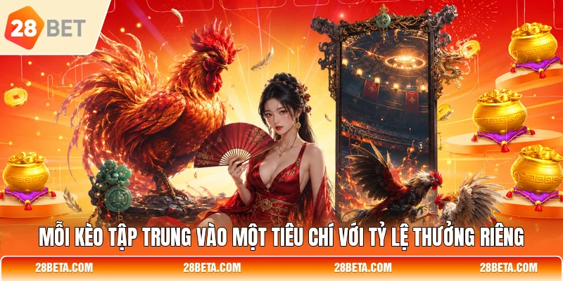 moi keo tap trung vao mot tieu chi voi ty le thuong rieng Mỗi kèo tập trung vào một tiêu chí với tỷ lệ thưởng riêng